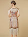 1920s Sequin Fringe Flapper V-Neck Dress - vintage dress, retro fashion, Gatsby party