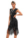 1920s Sequined Fringe Round Neck Cap Sleeve Dress - vintage dress, retro fashion, Gatsby party