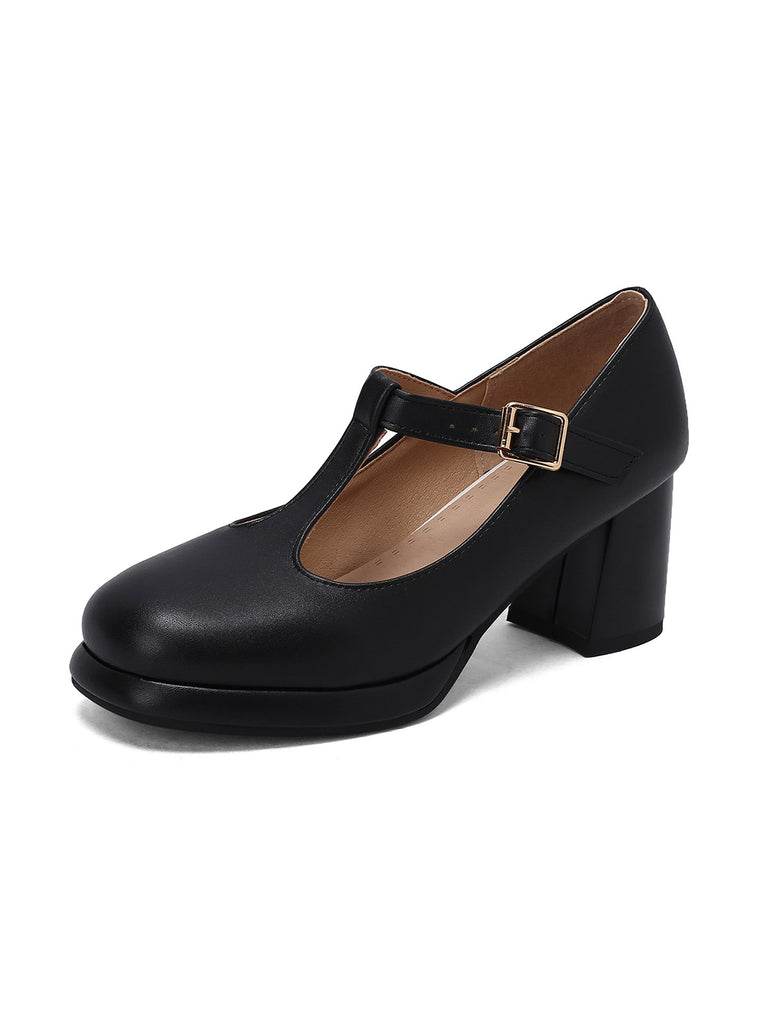 Ankle Strap Chunky Heels Mary Jane Shoes — vintage elegance for the modern woman