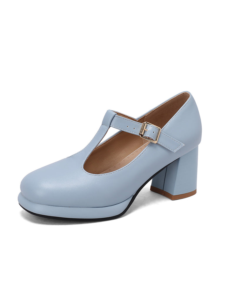 Ankle Strap Chunky Heels Mary Jane Shoes: timeless style reimagined