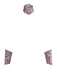 Beige 1930s Halloween Vampire Bride Lace Dress Set - vintage dress, retro fashion
