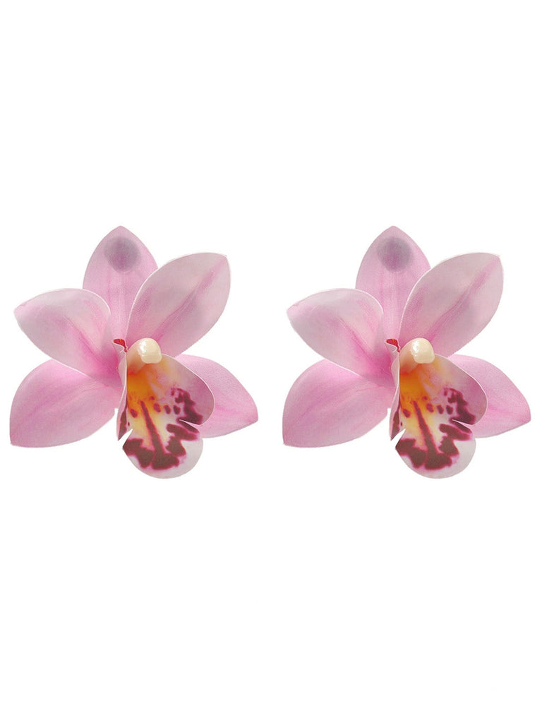 Accessories 5