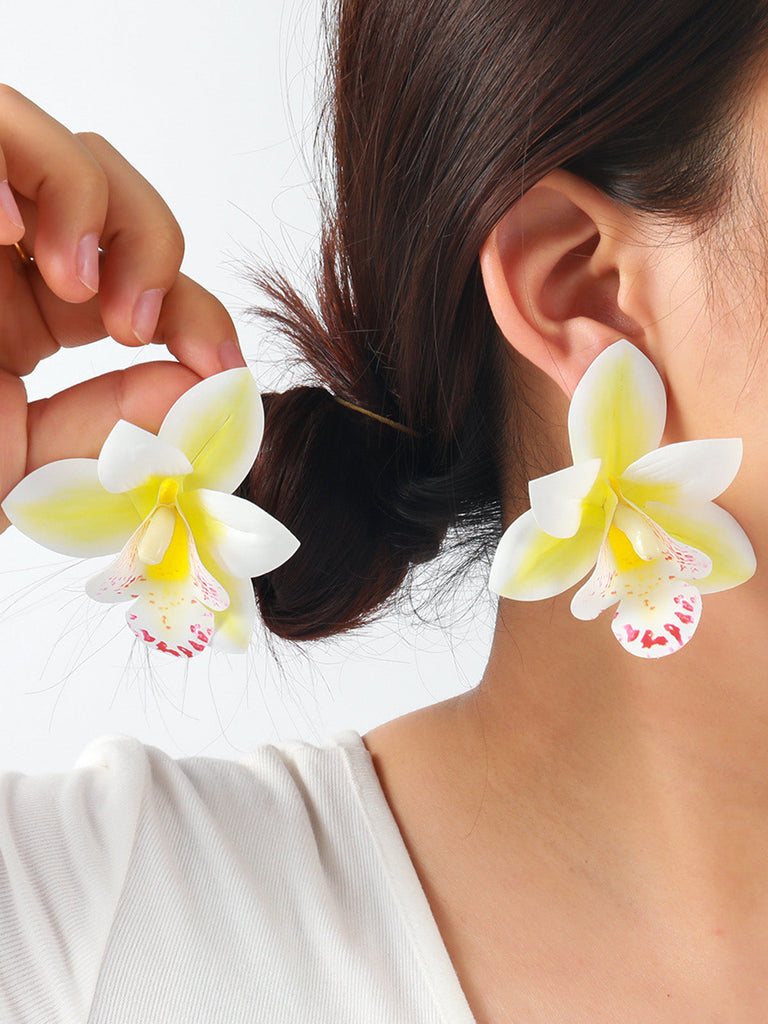 Accessories 8