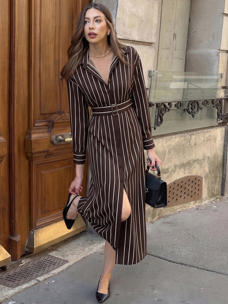 Dark Brown 1970s Striped Dress 2